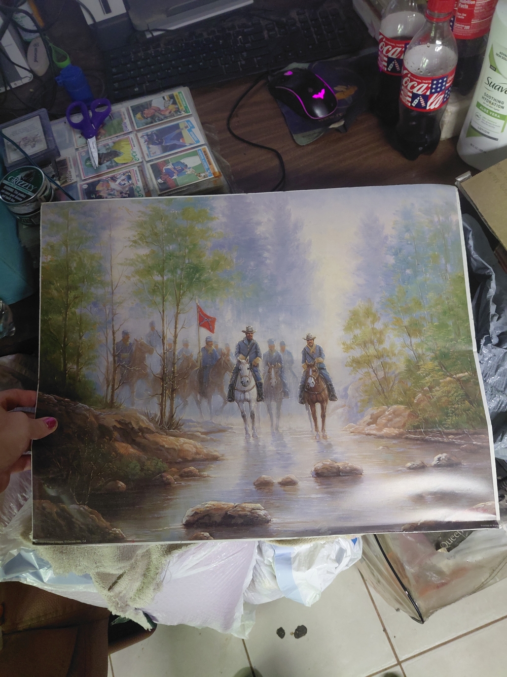 framed art print depicts a Civil War scene titled "The Hope of the Confederacy"